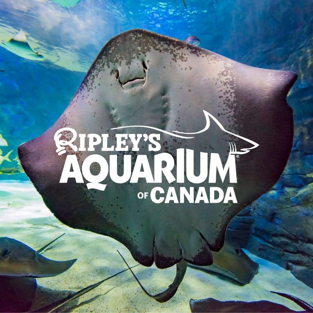 Ripley’s Aquarium of Canada