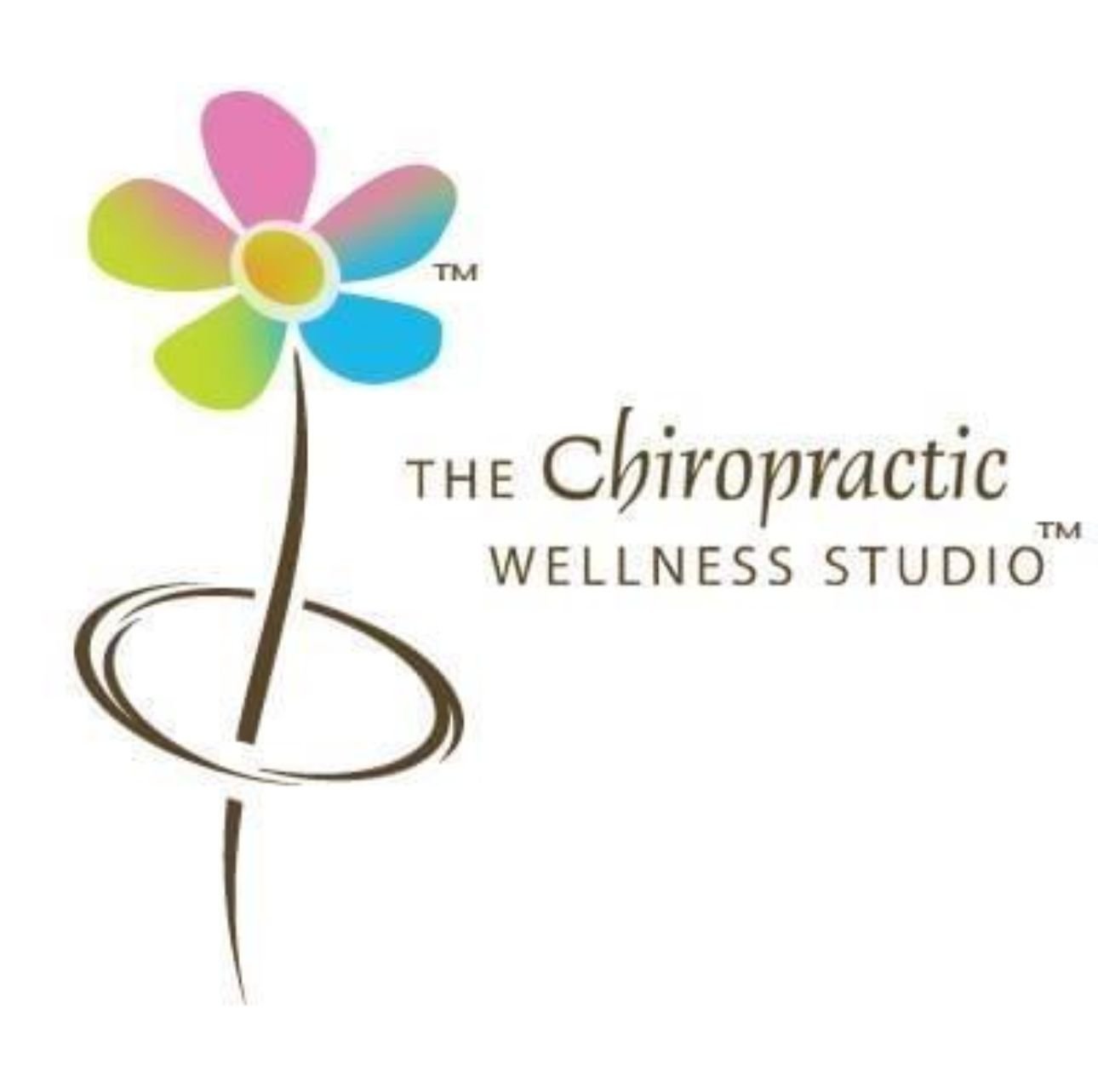 The Chiropractic Wellness Studio